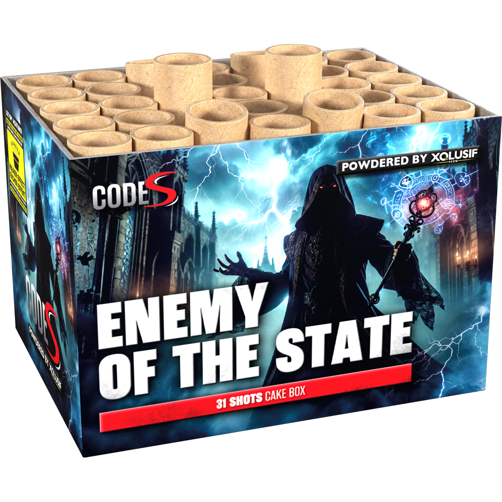 Enemy Of The State